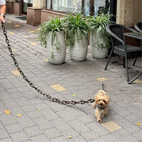 en balade d'halloween avec laisse de chien