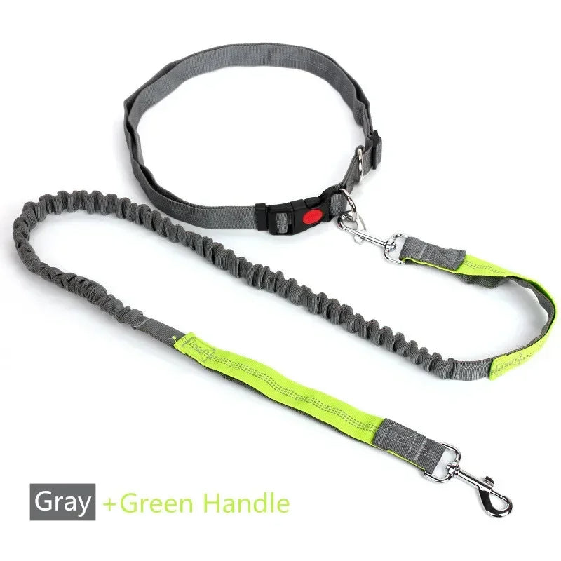 laisse pour chien gris vert