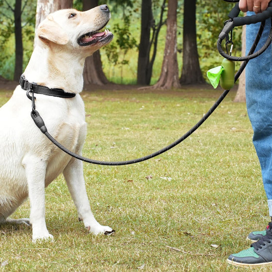proprietaire et compagnon avec laisse pour chien