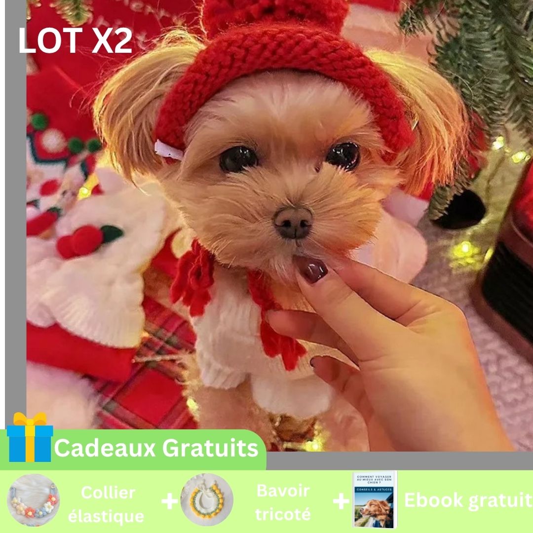 Bonnet pour chien rouge 