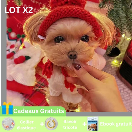 Bonnet pour chien rouge 