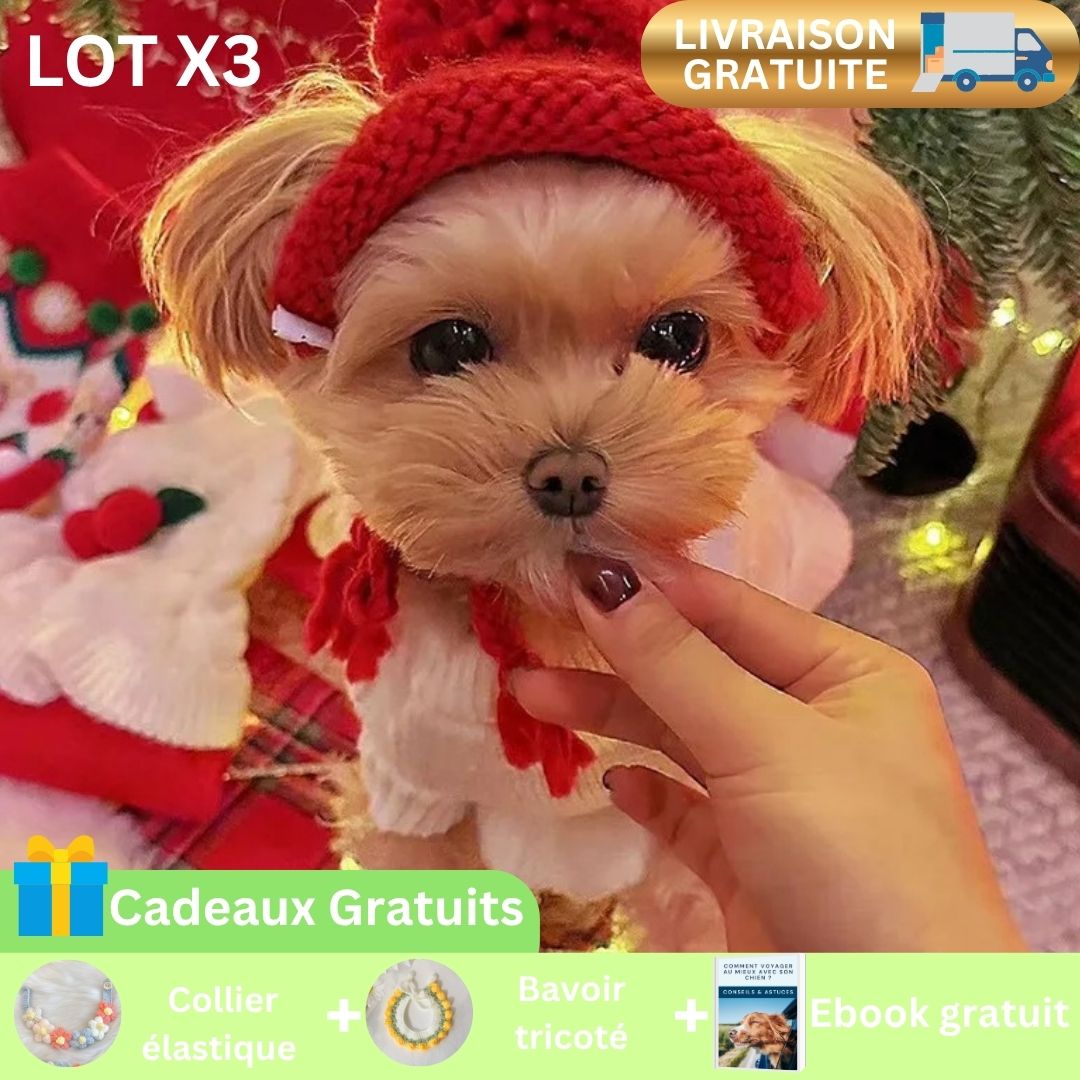 Chien portant un bonnet d'hiver rouge