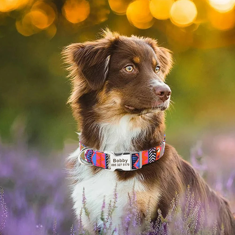Collier Chien Personnalisé