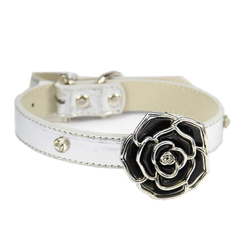 collier chien argent blanc