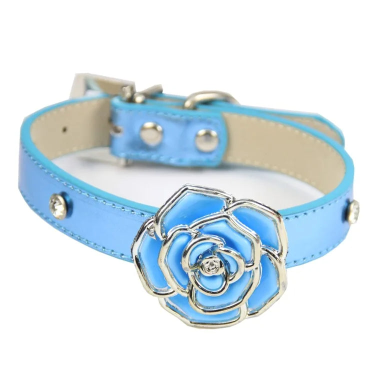 collier chien bleu