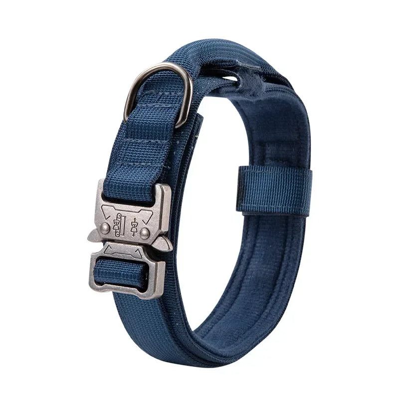 collier chien comfort bleu clair