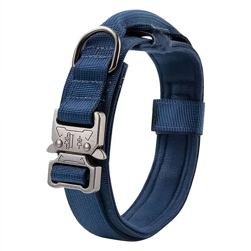 collier chien comfort bleu