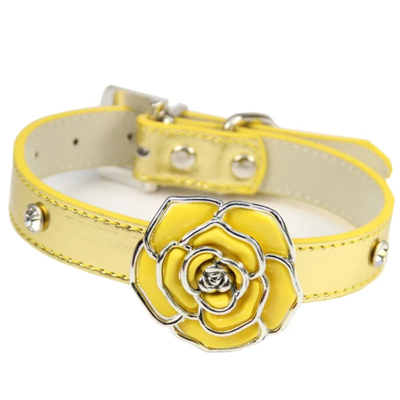 collier chien jaune dore