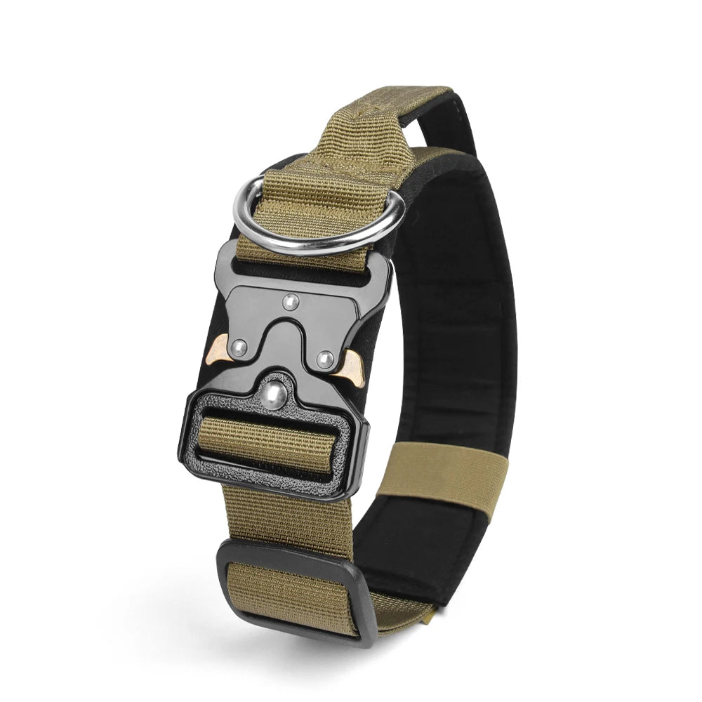 collier chien kaki fonce