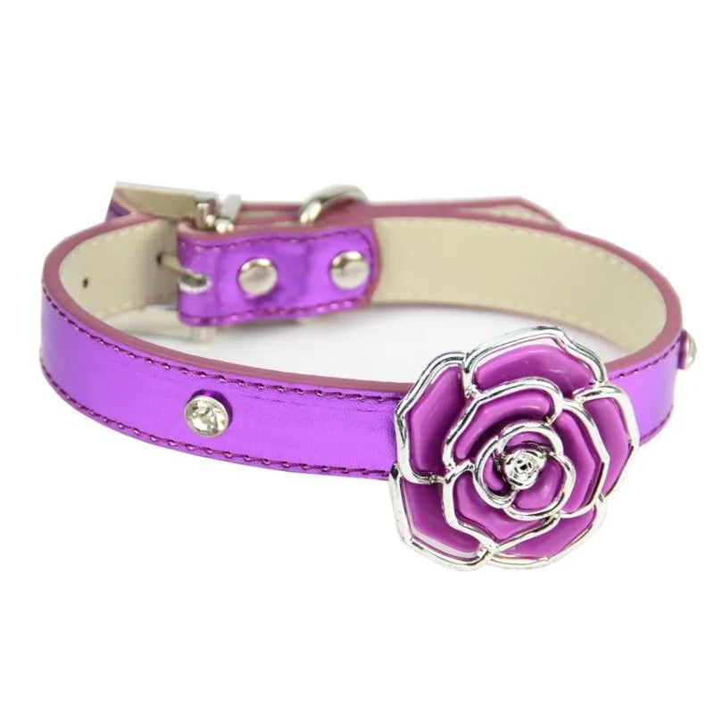 collier chien mauve violet