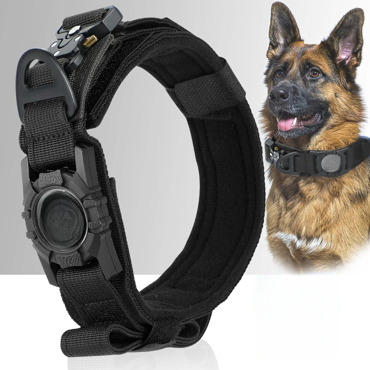 collier chien noir securite