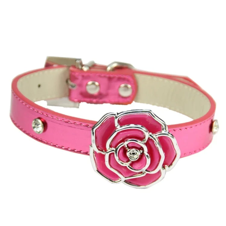 collier chien rose dore