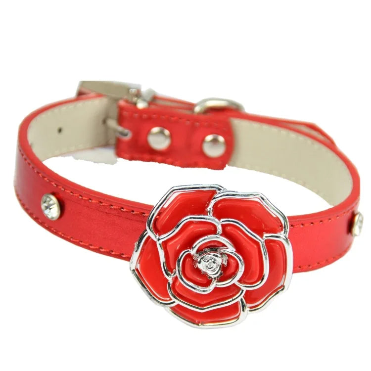 collier chien rouge