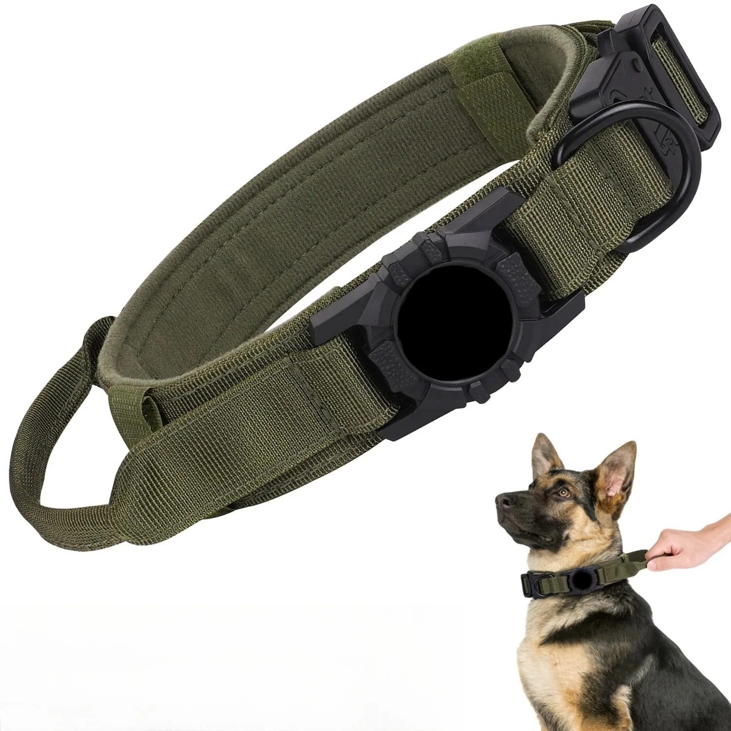 collier chien vert securite