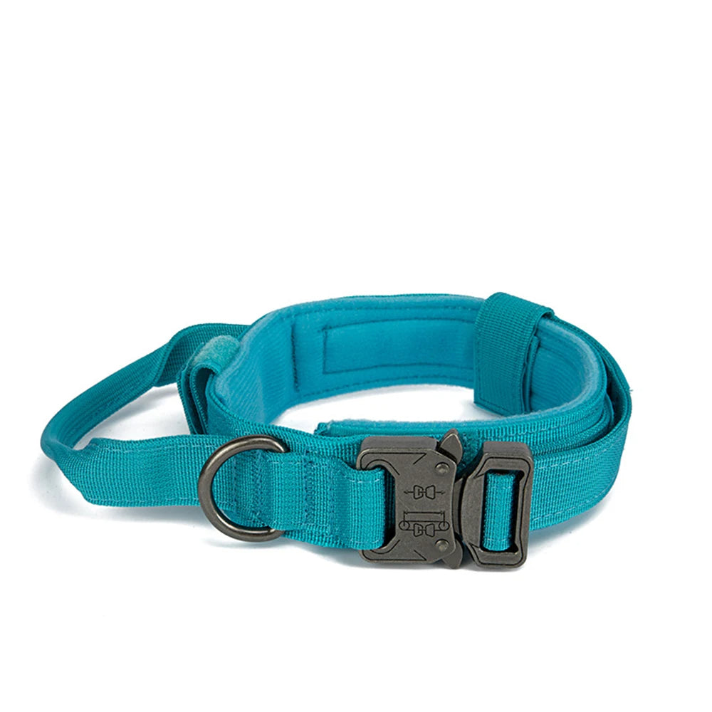 collier gros chien bleu