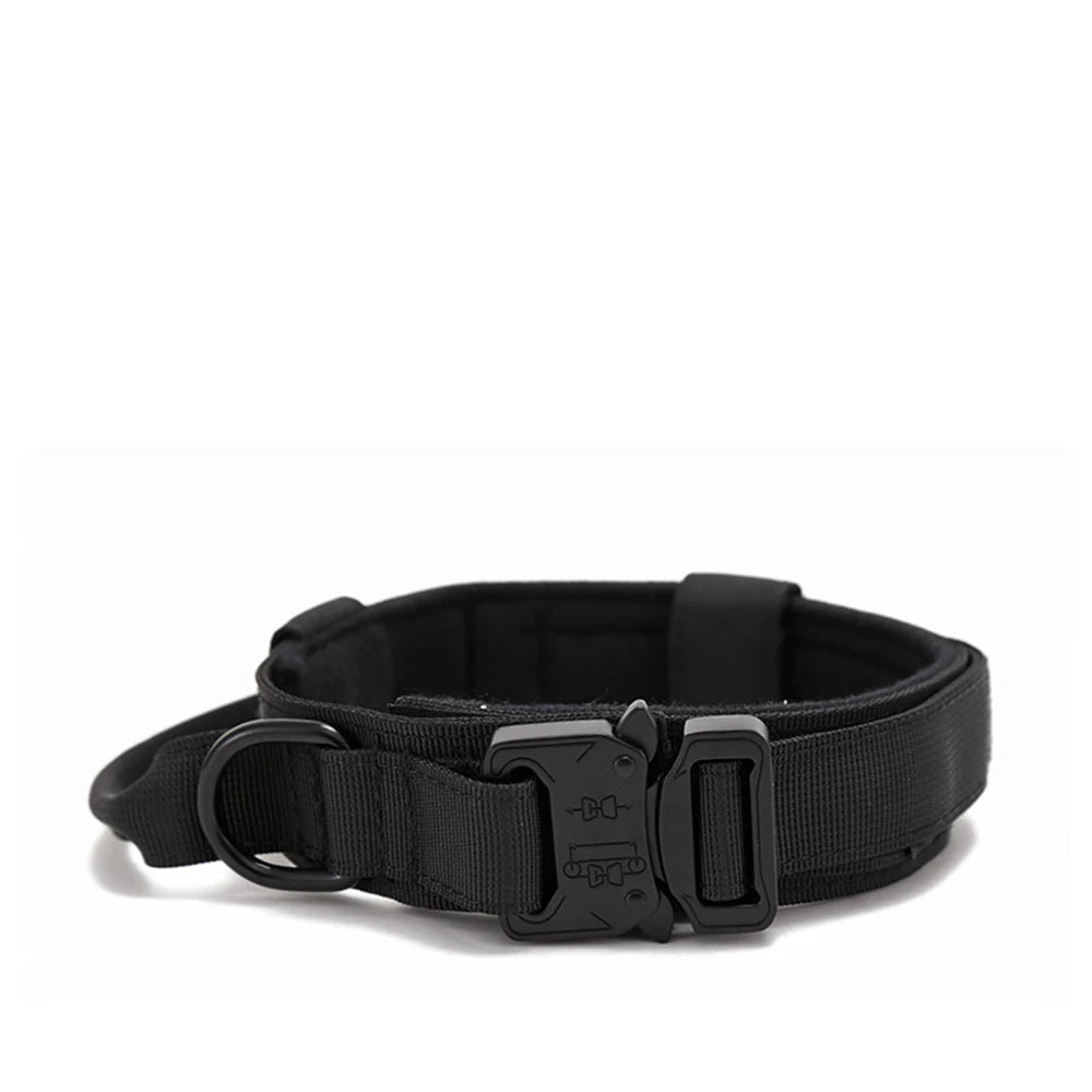 collier gros chien noir