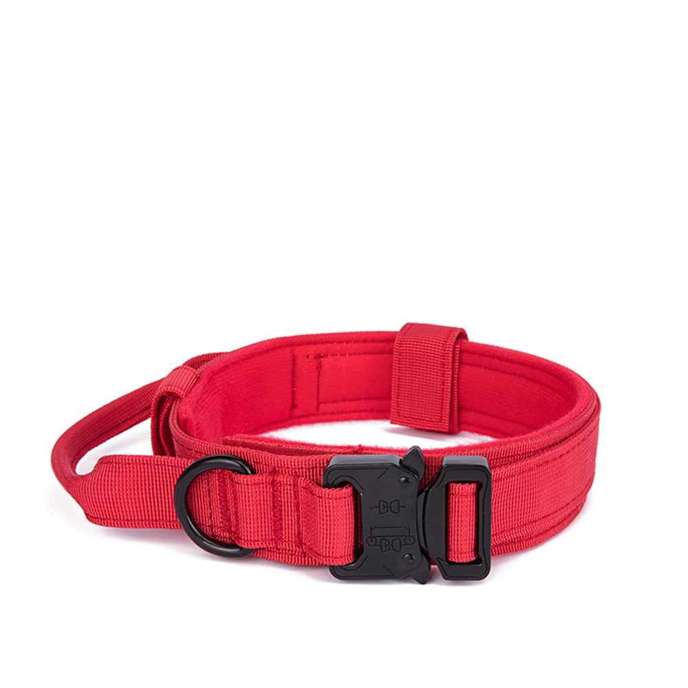 collier gros chien rouge
