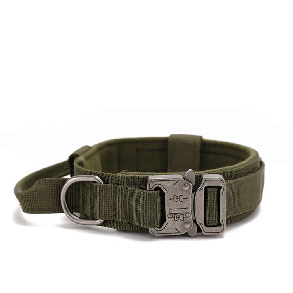 collier gros chien vert