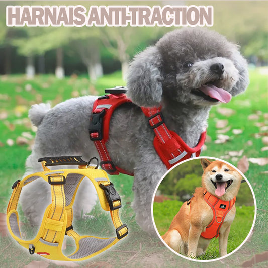 Harnais Anti-Traction