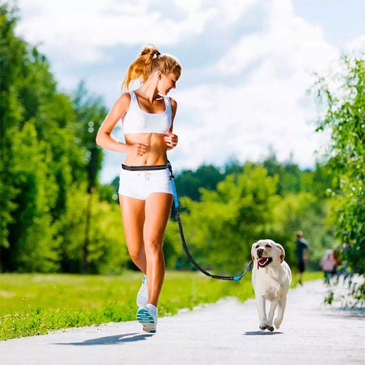 heureuse course a pied avec notre laisse de chien