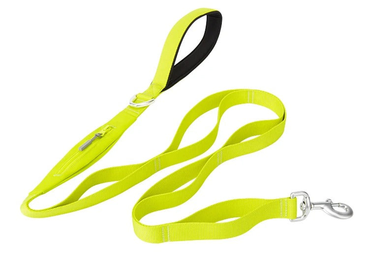 laisse chien vert clair stockage