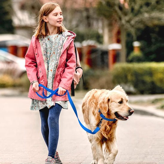 laisse pour chie bleu avec enfant