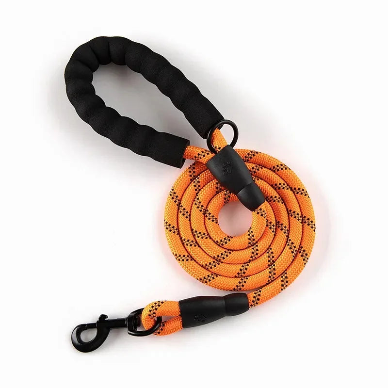 laisse pour chien orange